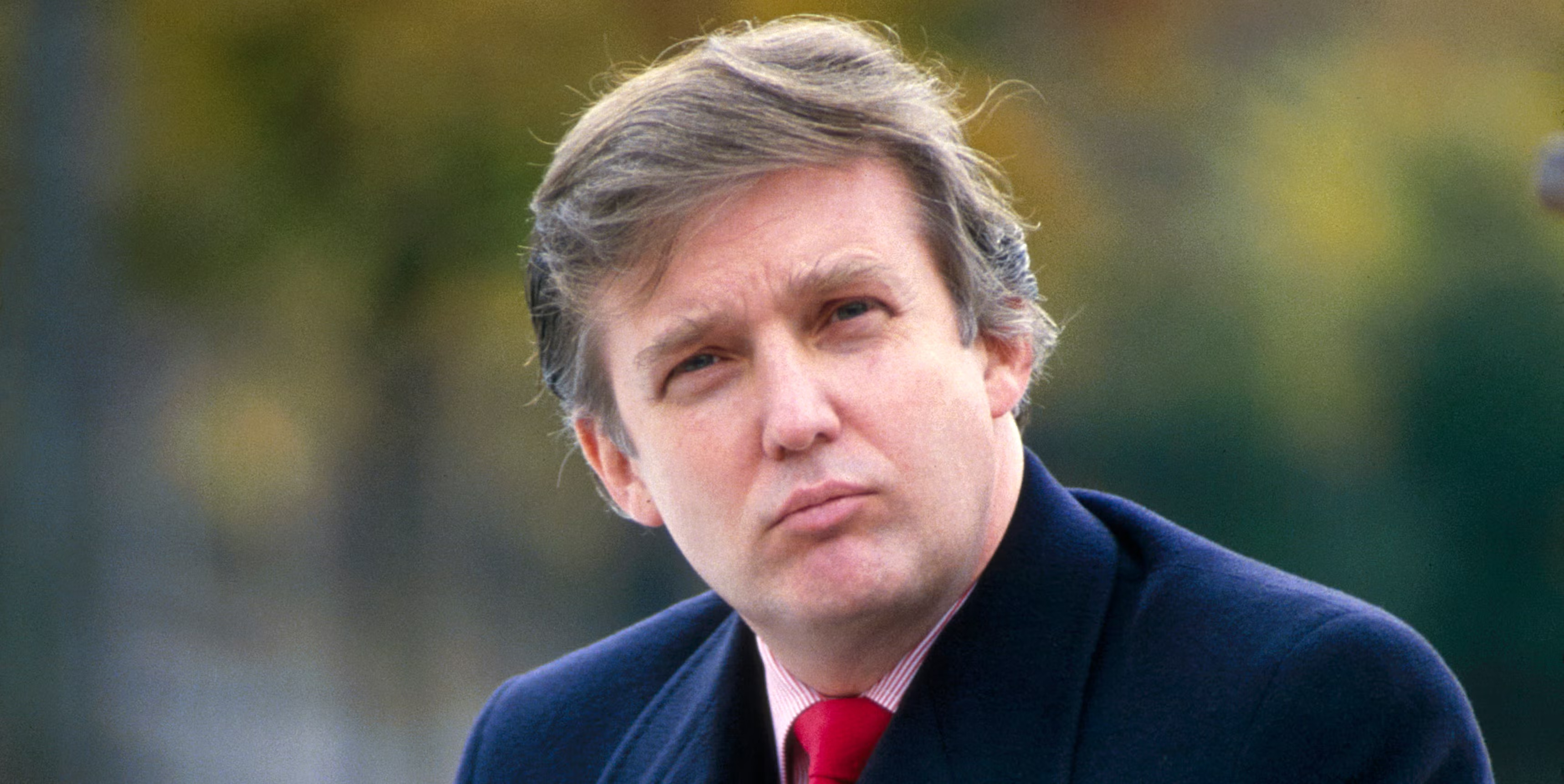 The Original Trump autumn portrait